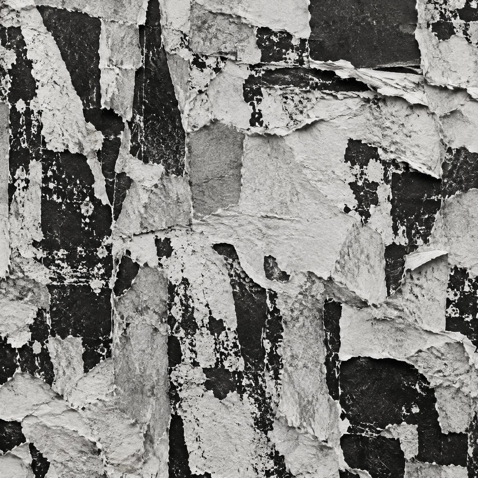 Ripped Poster